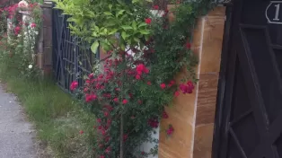 ویلا شهرکی در حاجیکلا