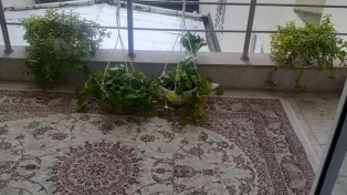 ۸۰ متر آپارتمان زیبا با ویو ابدی دریا