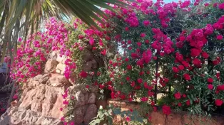 ویلا د رشهرک کاسپین سرخرود