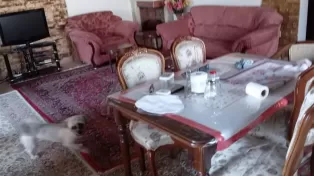 ویلا فلت با کوچه اختصاصی و قیمت مناسب