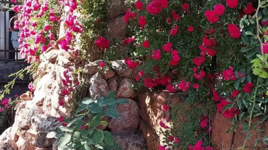ویلای مدرن و زیبا در نوار ساحلی و خط دریا
