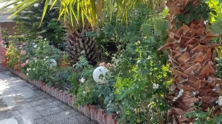 ویلای مدرن و زیبا در نوار ساحلی و خط دریا