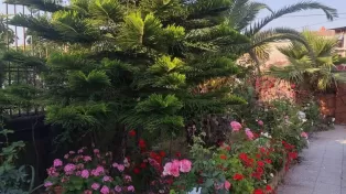 ویلای مدرن و زیبا در نوار ساحلی و خط دریا