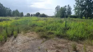 ۱۶۰۰۰ متر زمین مناسب برای ساخت شهرک