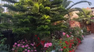 فروش ویلا سرخرود کاسپین
