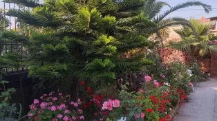 ویلا فلت ساحلی با کوچه اختصاصی وخوش نشین