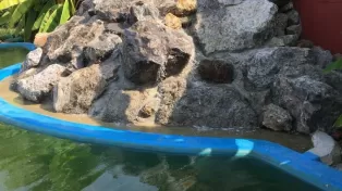 ۵۰۰۰ متر ویلا باغ با ۱۴۰ متر بنای مبله