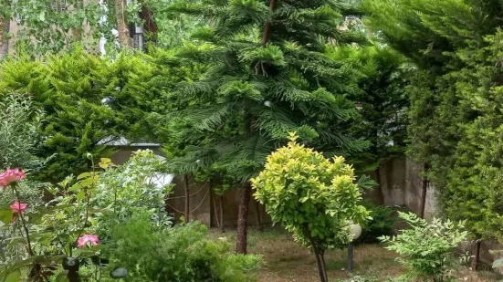 زمین ساحلی با کوچه اختصاصی و خوش نشین