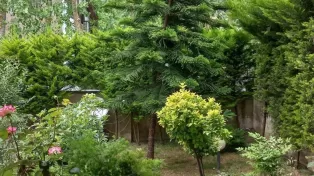 زمین ساحلی با کوچه اختصاصی و خوش نشین