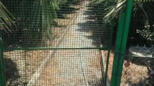 فروش ویلا باغ ساحلی .سرخرود