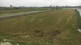 زمین کشاورزی