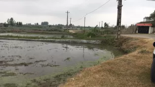زمین کشاورزی