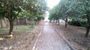 1400زمین 160متر بنا سرخرود