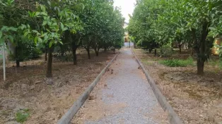 1400زمین 160متر بنا سرخرود