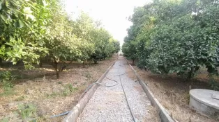 1400زمین 160متر بنا سرخرود
