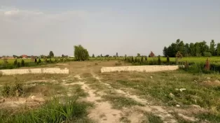 فروش ویژه زمین در جاده سرخرود به آمل