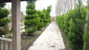 پنج هزار متر زمین 130متر بنا