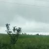 زمین کشاورزی 7000 متری در محموداباد