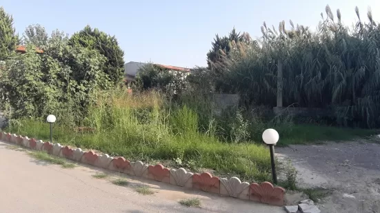 فروش زیر قیمت زمین مسکونی سنددار ۵۰۰ متری دریا