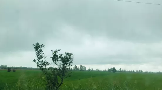 زمین کشاورزی محموداباد ۷۰۰۰ متر