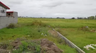 زمین شهرکی سرخرود
