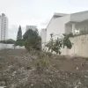 مشارکت زمین ساحلی
