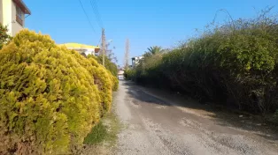 خرید زمین ساحلی در سرخرود