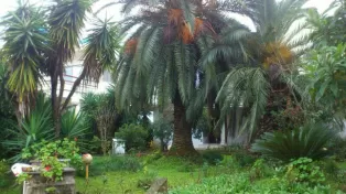 خرید ویلا شهرکی در سر‌خرود.