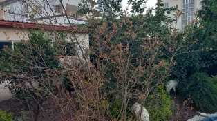 کلنگی لب دریا مناسب برج سازی