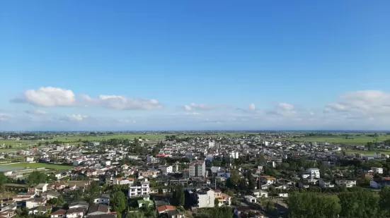 مشارکت پلاک اول دریا