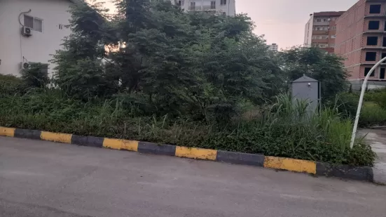 فروش زمین مسکونی شهرکی ساحلی