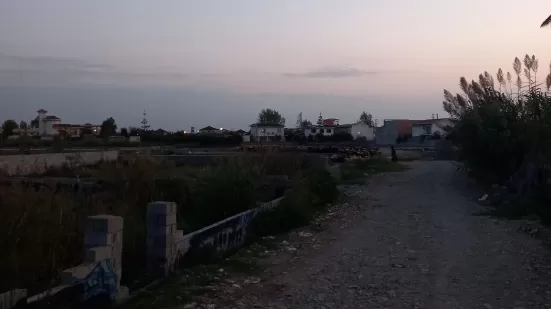 متقاضی زم جهت اجاره برای گلخانه