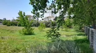 زمین در خط دریا سرخرود