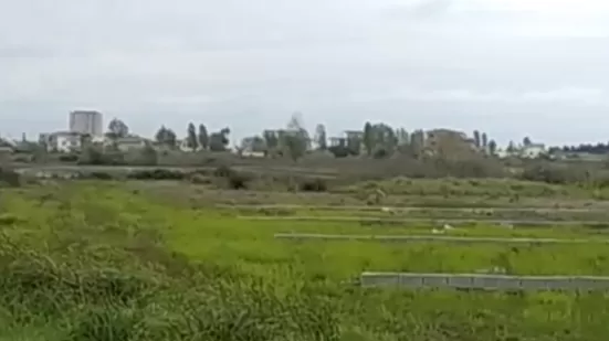 زمین سرمایه گذاری جاده سرخرود
