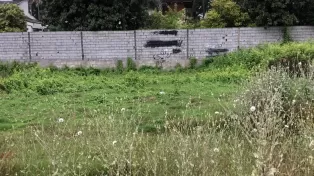 زمین شهرک ساحلی برند سرخرود