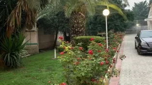 ۷۰۰ متر زمین دو کله خط دریا سرخرود