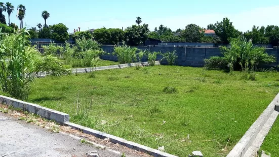 زمین شهرکی ۲۲۵ متر در سرخرود