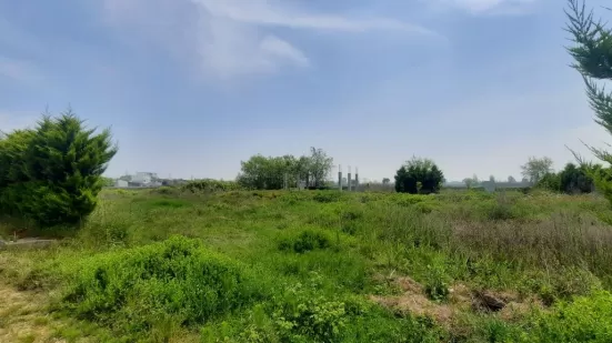 زمین بزرگ در سرخرود جهت معاوضه