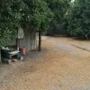کلنگی باغی آمل فروش