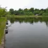 خرید پرورش ماهی در آمل