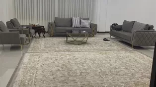 خرید کاخ لوکس در شهرک برند سرخ رود