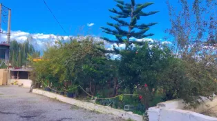 فروش مزرعه پرورش ماهی