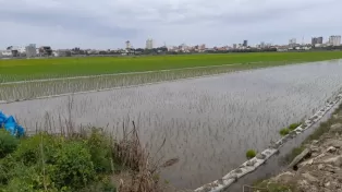 زمین کشاورزی