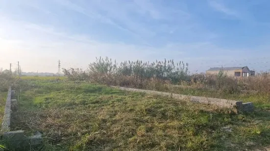 زمین مسکونی منطقه ساحلی