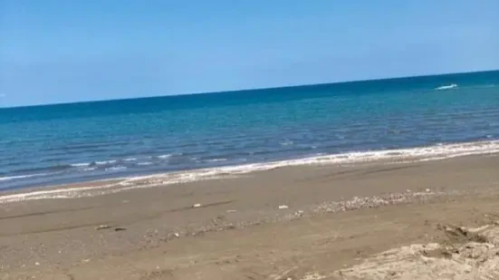 خریدزمین ساحلی درسرخرودپلاک اول دریا