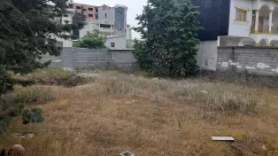 ۳۱۷ متر زمین مسکونی با سند