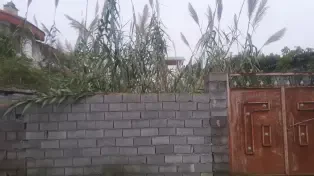 زمین ویلایی ساحلی