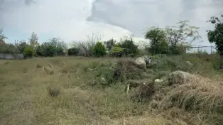 زمین شهرکی ویلایی