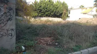فروش زمین ساحلی مسکونی سرخرود