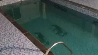 ویلا باغچه استخردار جاده سرخرود